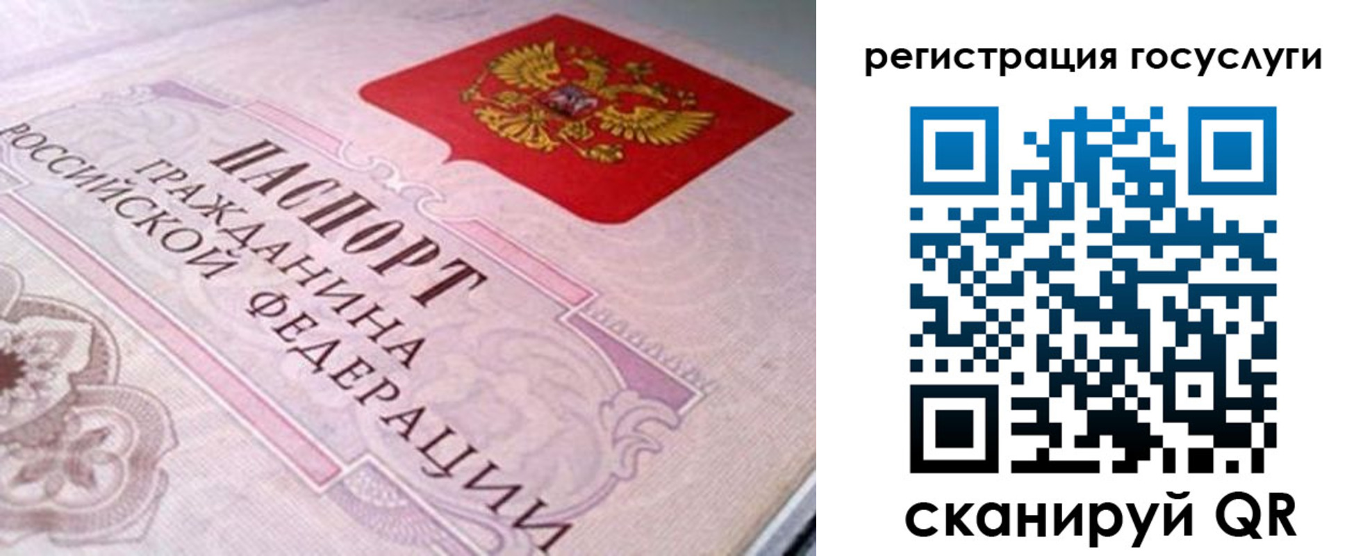 где прописаться в Волхове